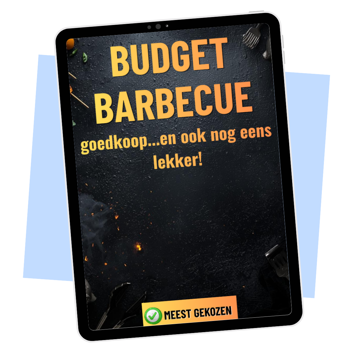 Budget Barbecue Daily Vibes