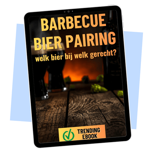 Barbecue en Bier Pairing – E-book: welk bier past bij jouw BBQ E-book Daily Vibes