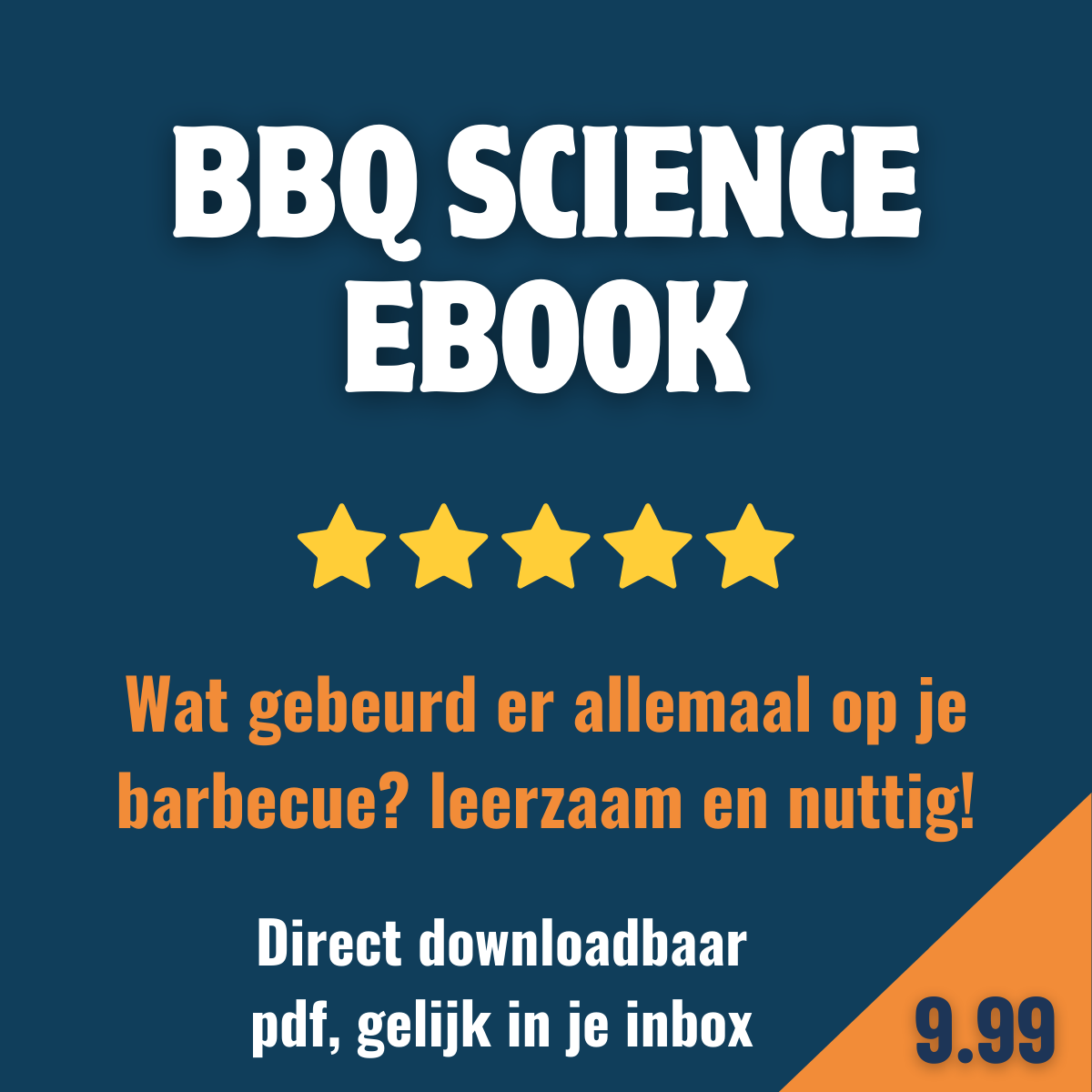 Barbecue Wetenschap E-book Daily Vibes
