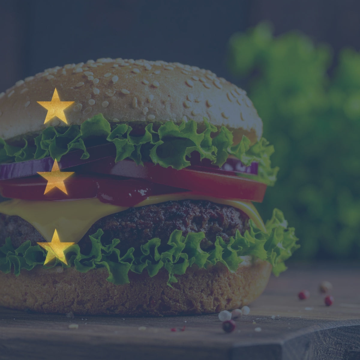 Hamburger Blueprint e-book preview – Daily Vibes