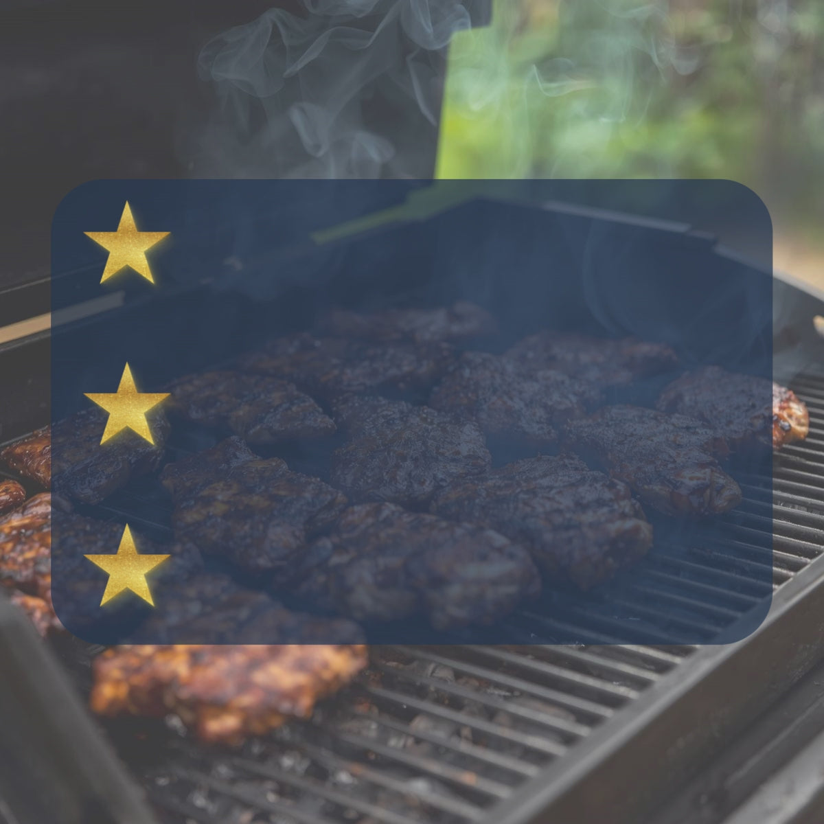 101 Barbecue Tips en Tricks e-book preview – Daily Vibes