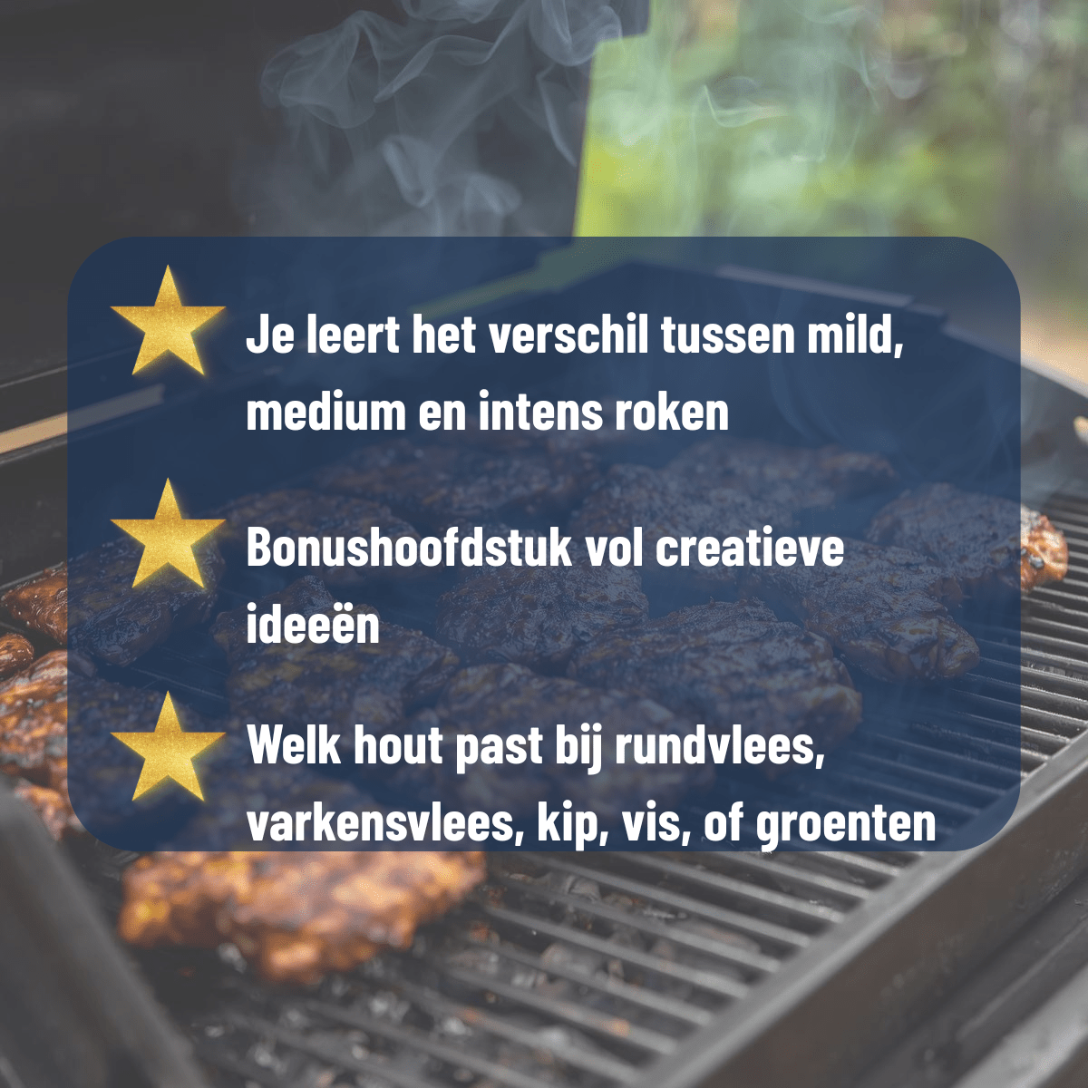 Rookhout en Smaak Pairing – E-book: welk rookhout past bij welk vlees E-book Daily Vibes